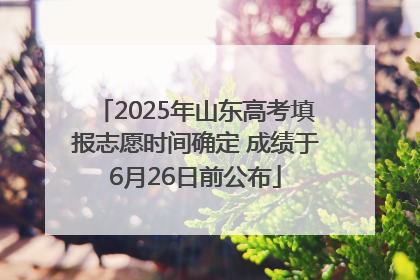 2025年山东高考填报志愿时间确定 成绩于6月26日前公布