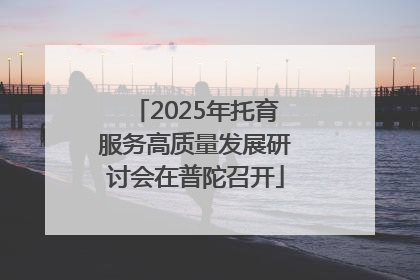 2025年托育服务高质量发展研讨会在普陀召开