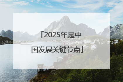 2025年是中国发展关键节点