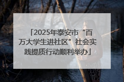 2025年泰安市“百万大学生进社区”社会实践提质行动顺利举办