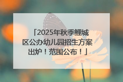2025年秋季鲤城区公办幼儿园招生方案出炉！范围公布！