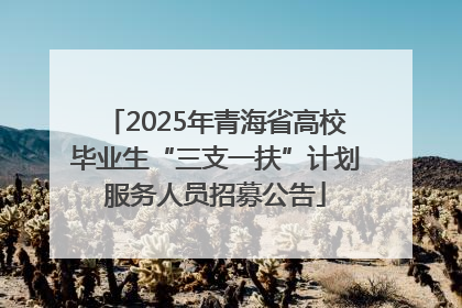 2025年青海省高校毕业生“三支一扶”计划服务人员招募公告