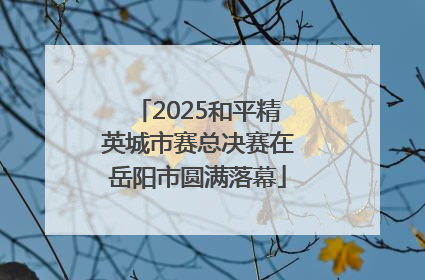 2025和平精英城市赛总决赛在岳阳市圆满落幕