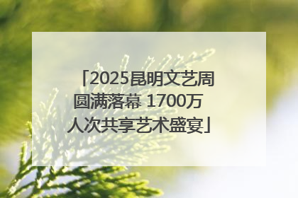 2025昆明文艺周圆满落幕 1700万人次共享艺术盛宴