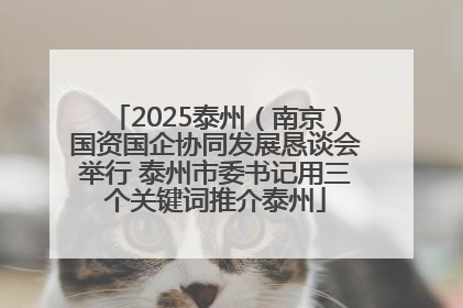 2025泰州（南京）国资国企协同发展恳谈会举行 泰州市委书记用三个关键词推介泰州