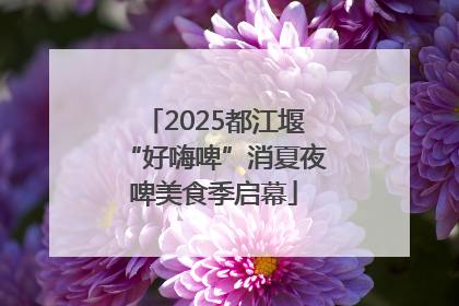 2025都江堰“好嗨啤”消夏夜啤美食季启幕