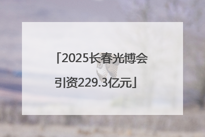 2025长春光博会引资229.3亿元