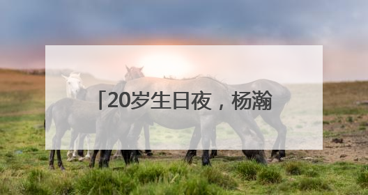 20岁生日夜，杨瀚森被NBA开拓者队首轮第16顺位选中！