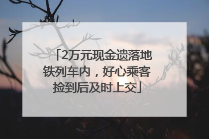 2万元现金遗落地铁列车内，好心乘客捡到后及时上交