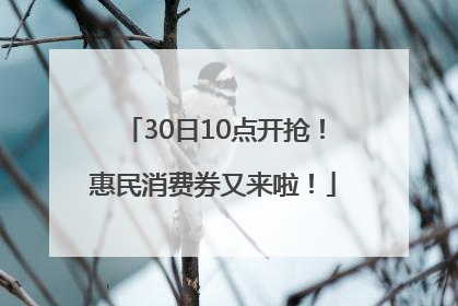 30日10点开抢！惠民消费券又来啦！