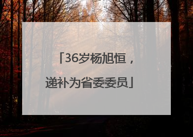 36岁杨旭恒，递补为省委委员
