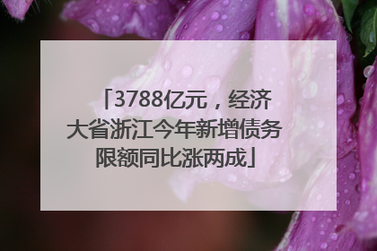3788亿元，经济大省浙江今年新增债务限额同比涨两成
