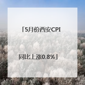 5月份西安CPI同比上涨0.8%