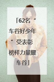 62名“车谷好少年”受表彰 榜样力量耀车谷