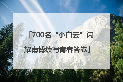 700名“小白云”闪耀南博续写青春答卷