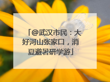 @武汉市民：大好河山张家口，消夏避暑研学游