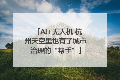 AI+无人机 杭州天空里也有了城市治理的“帮手”