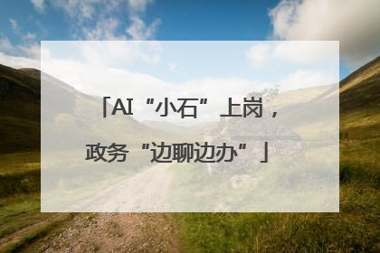AI“小石”上岗，政务“边聊边办”