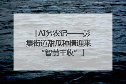 AI务农记——彭集街道甜瓜种植迎来“智慧丰收”