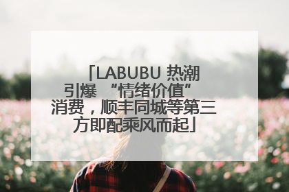 LABUBU 热潮引爆 “情绪价值” 消费，顺丰同城等第三方即配乘风而起