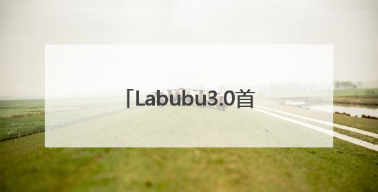 Labubu3.0首开线上预售，已排至8月，黄牛回收价格腰斩