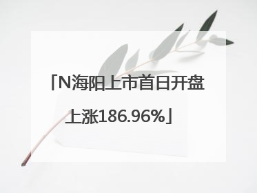 N海阳上市首日开盘上涨186.96%
